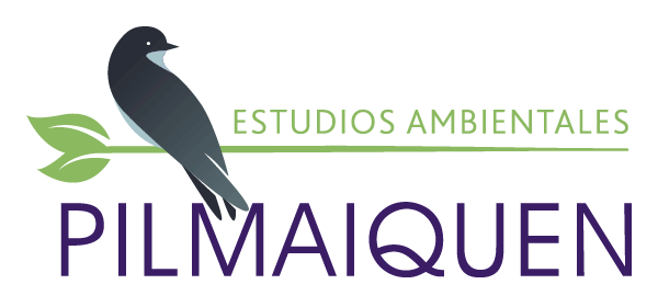 pilmaiquenambiental.cl
